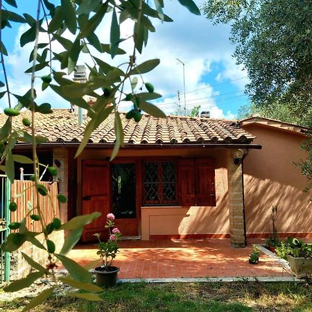 All'Ombra Degli Olivi Pisciarelli Exterior foto