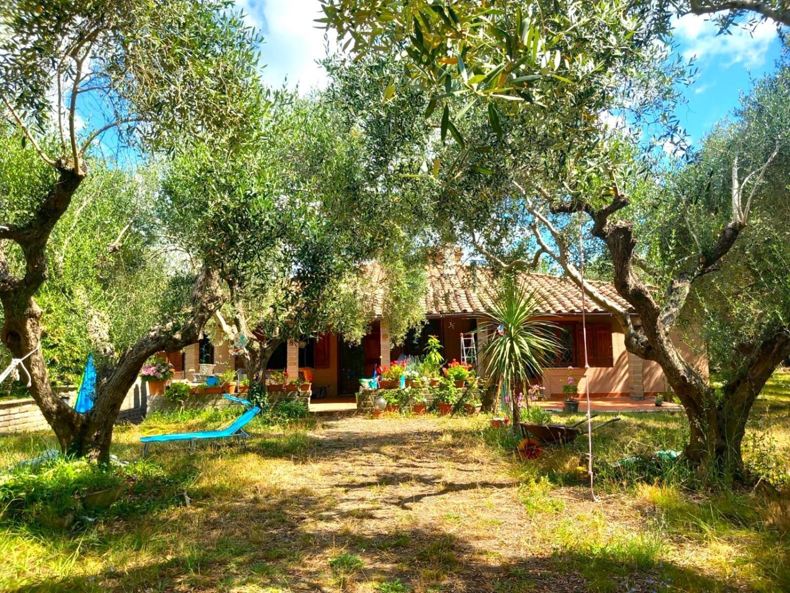 All'Ombra Degli Olivi Pisciarelli Exterior foto