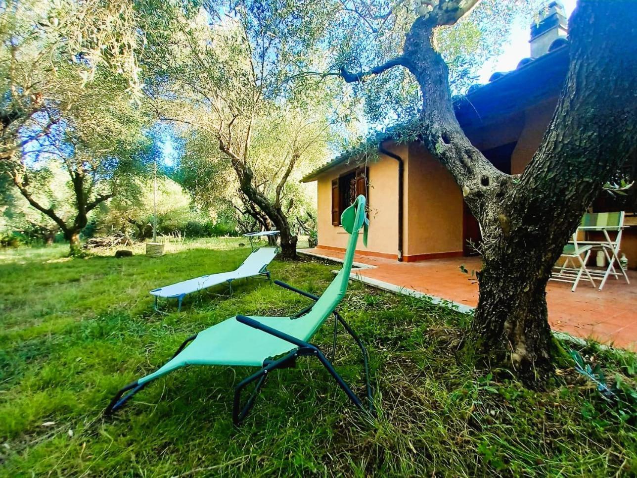All'Ombra Degli Olivi Pisciarelli Exterior foto